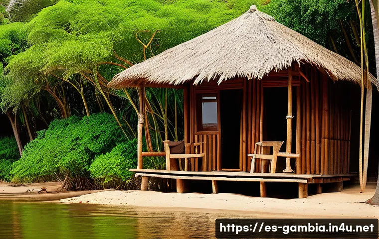 감비아와 세네갈 크로스보더 여행 관련 이미지 1