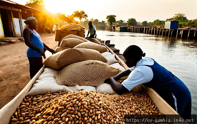 Home 17 감비아 주요 수출품 - Photorealistic commercial export scene in The Gambia, neatly stacked burlap sacks overflowing with f...